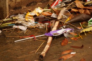 Can you see the beauty and the magic?