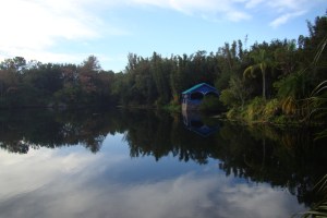 Serenity at Animal Kingdom