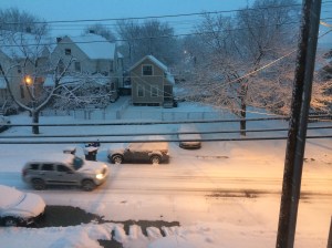 Groundhog's day 2014