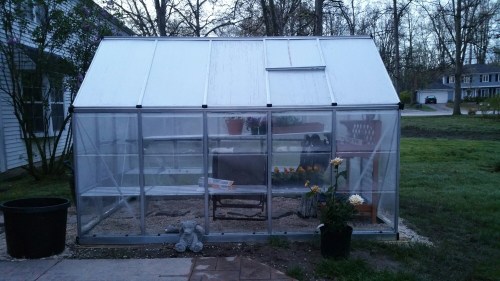 20160506_060531.jpg image